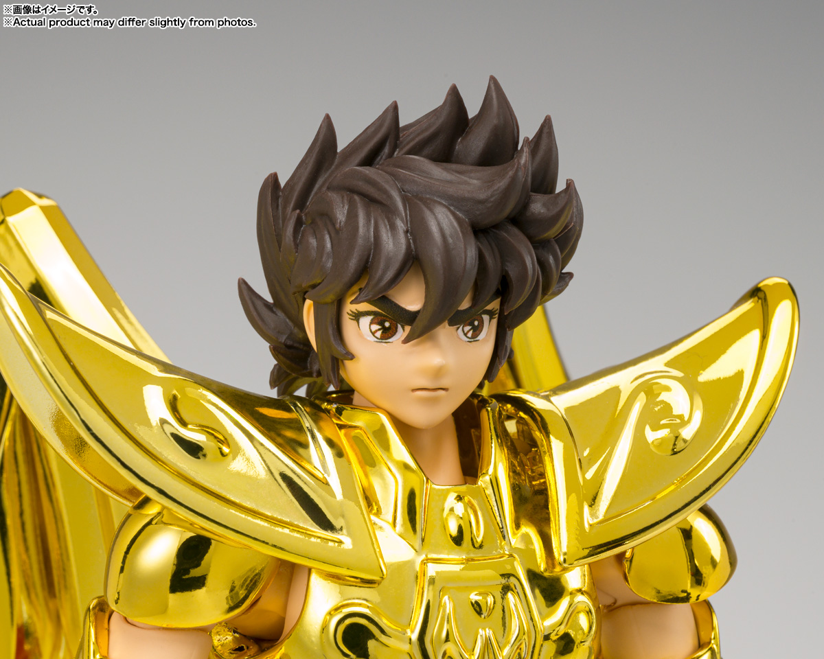 Sagittarius Seiya -Inheritor Of The Gold Cloth- SAINT CLOTH MYTH EX Tamashii Nations