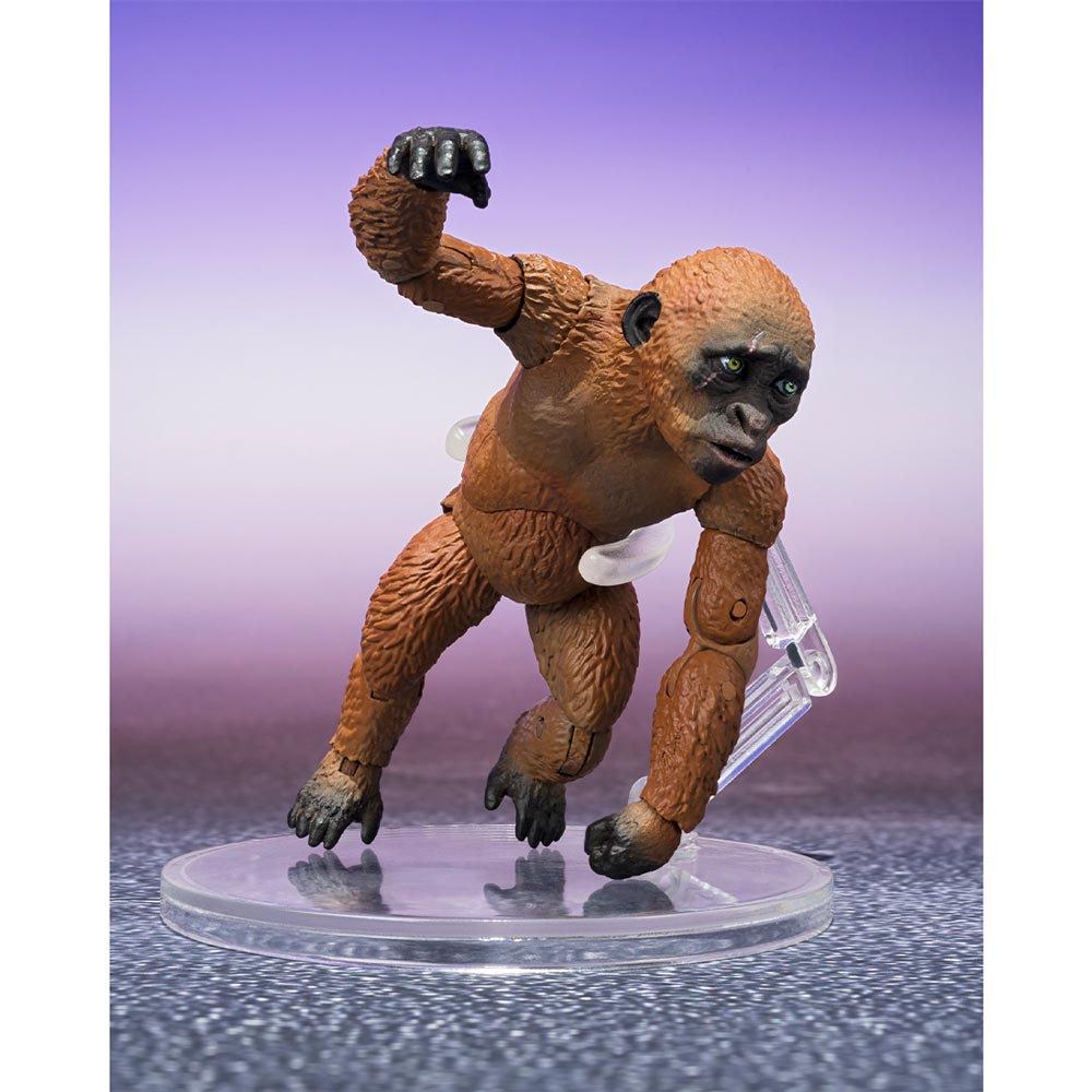 S.H.MONSTER ARTS SUKO &amp; MOTHRA (2024) FROM GODZILLA x KONG: THE NEW EMPIRE