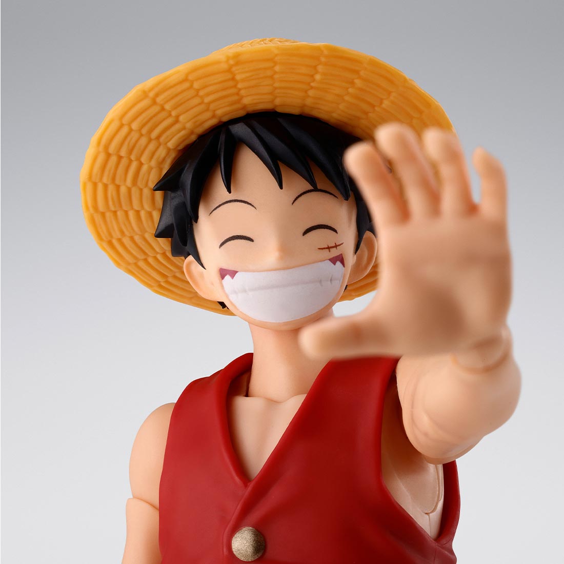 S.H.FIGUARTS SHANKS＆MONKEY.D.LUFFY -CHILDHOOD-