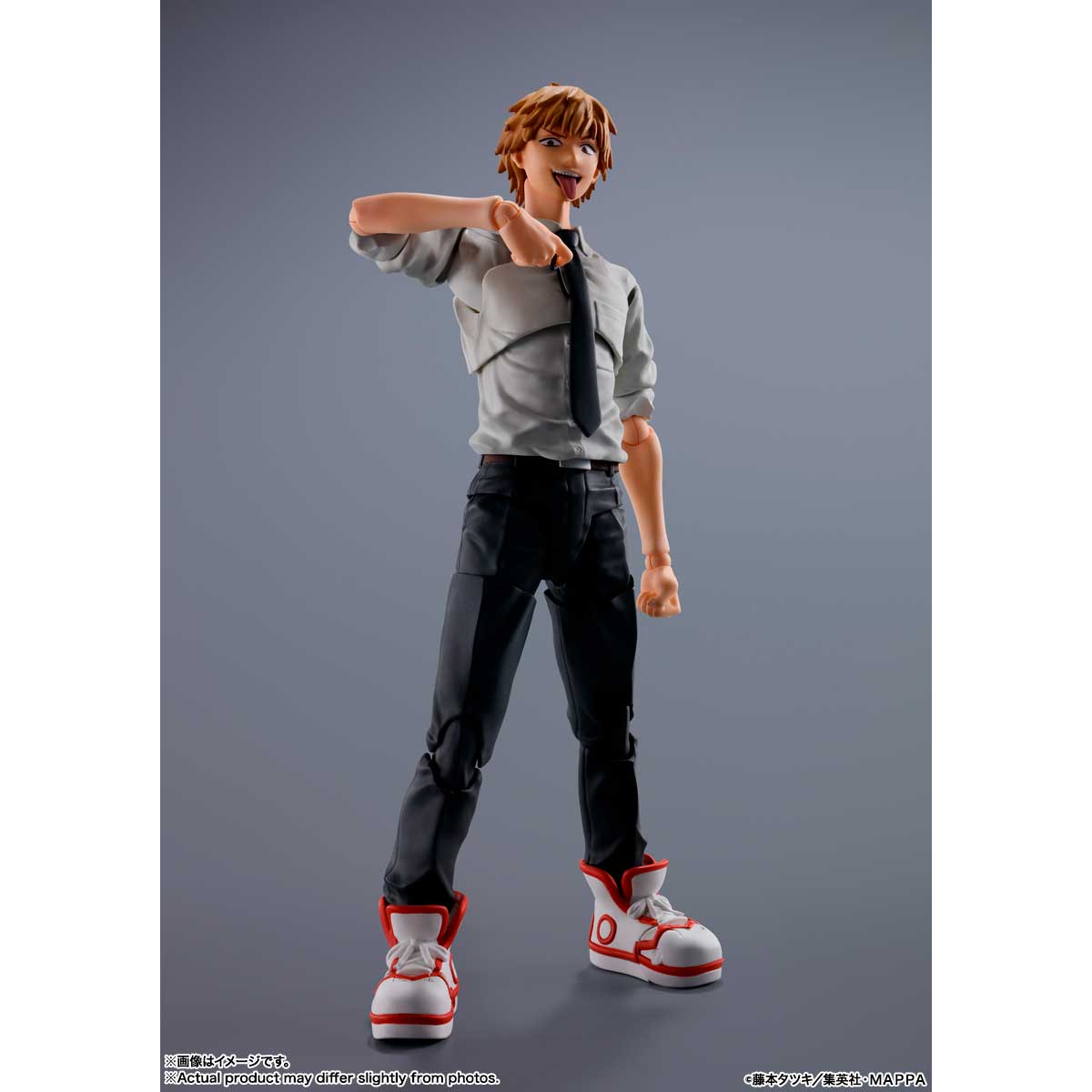 S.H.FIGUARTS DENJI TAMASHII NATIONS