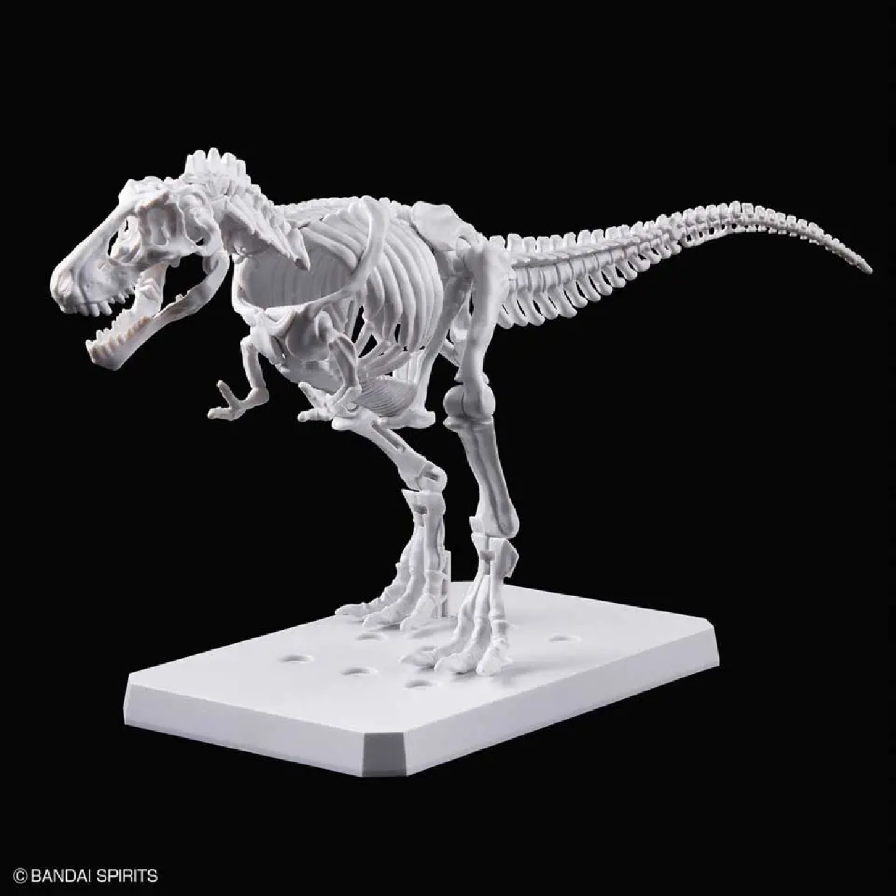 PLANNOSAURUS TYRANNOSAURUS PAINTING VER. BANDAI HOBBY