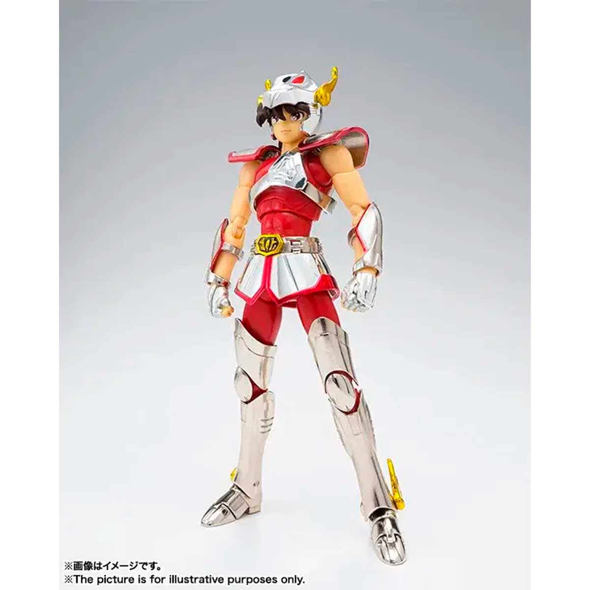 SAINT CLOTH MYTH SAINT CLOTH MYTH PEGASUS SEIYA [FIRST BRONZE CLOTH] <REVIVAL VER.> TAMASHII NATION