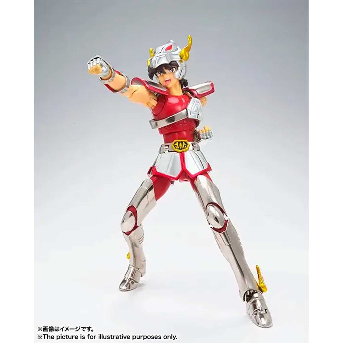 SAINT CLOTH MYTH SAINT CLOTH MYTH PEGASUS SEIYA [FIRST BRONZE CLOTH] <REVIVAL VER.> TAMASHII NATION