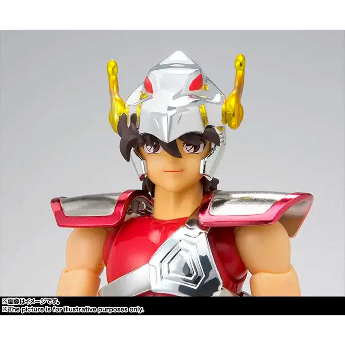 SAINT CLOTH MYTH SAINT CLOTH MYTH PEGASUS SEIYA [FIRST BRONZE CLOTH] <REVIVAL VER.> TAMASHII NATION