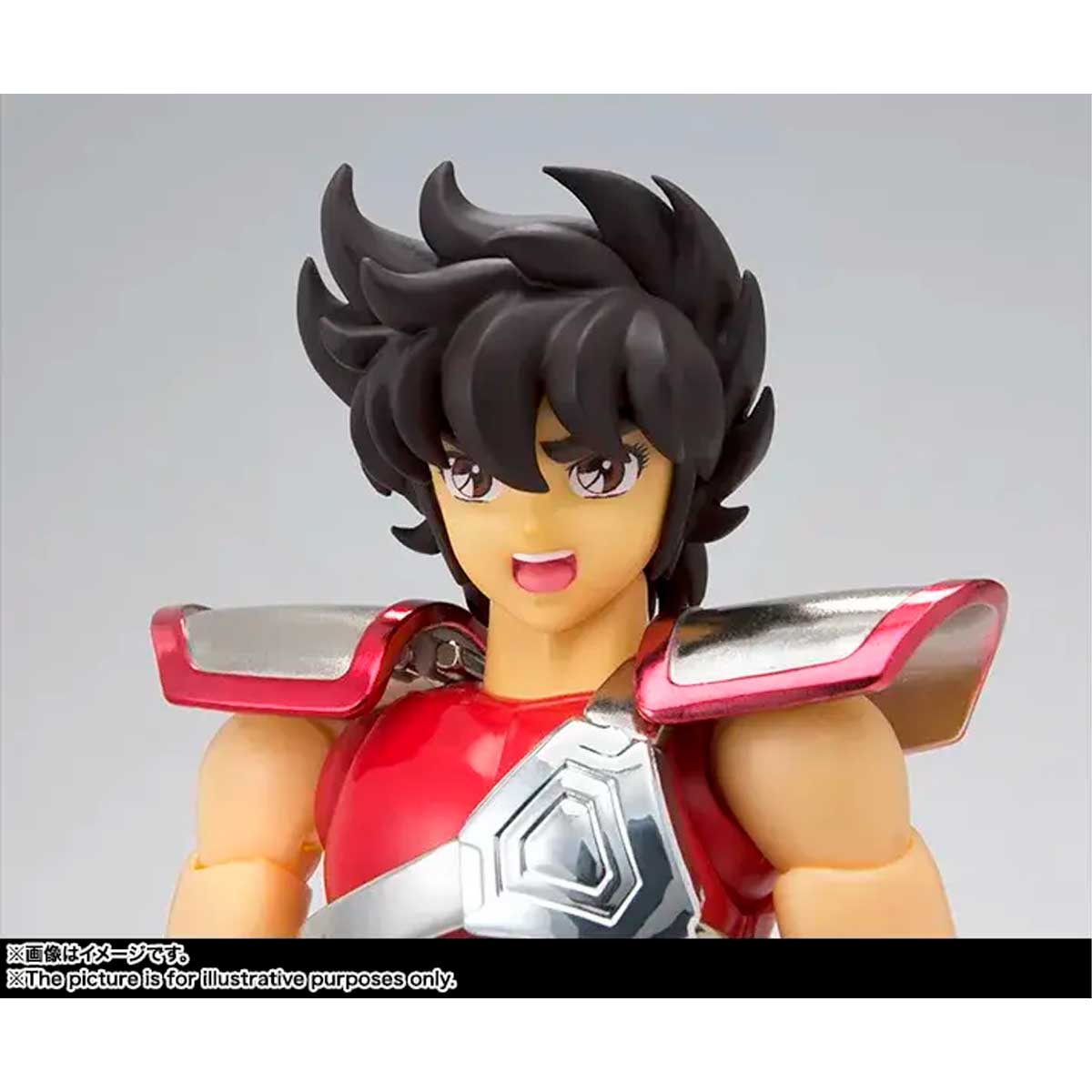 SAINT CLOTH MYTH SAINT CLOTH MYTH PEGASUS SEIYA [FIRST BRONZE CLOTH] <REVIVAL VER.> TAMASHII NATION