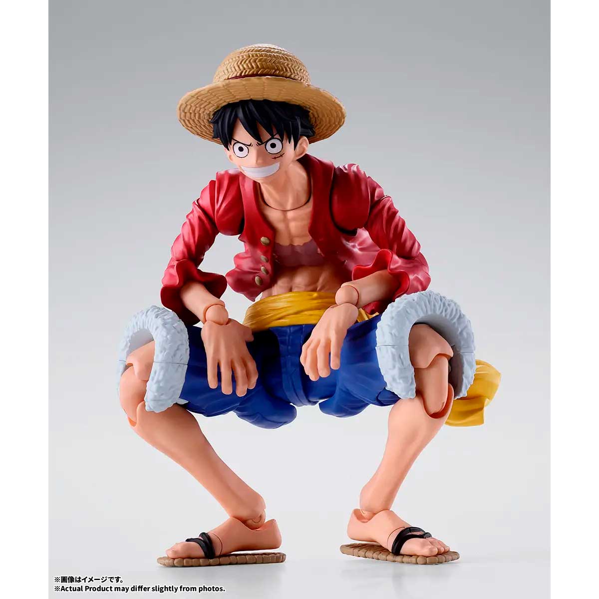 S.H.FIGUARTS MONKEY.D.LUFFY -TWO YEARS LATER- TAMASHII NATIONS