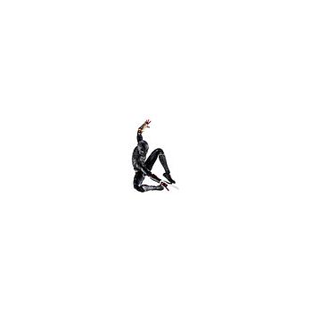 [4573102630070] SPIDER MAN BLACK AND GOLD SUIT S.H FIGUARTS TAMASHII NATIONS