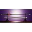 PROPLICA NICHIRIN SWORD (SHINOBU KOCHO) DEMON SLAYER: KIMETSU NO YAIBA TAMASHII NATIONS