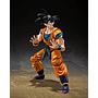 Son Goku Super Hero S.H.Figuarts Tamashii Nations