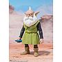 Rao&Thief Sand Land S.H Figuarts