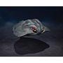 Hedorah 50TH Anniversary Special SET Godzilla VS. Hedorah S.H Monster Arts