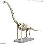 PLANNOSAURUS Brachiosaurus