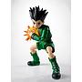 S.H.FIGUARTS GON HUNTERXHUNTER