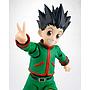 S.H.FIGUARTS GON HUNTERXHUNTER