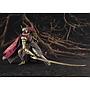 S.H.FIGUARTS MALENIA, BLADE OF MIQUELLA ELDEN RING TAMASHII NATIONS