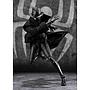 S.H.FIGUARTS SPIDER-MAN NOIR & SPIDER HAM (SPIDER-MAN: ACROSS THE SPIDER-VERSE)