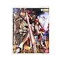 MODEL KIT MG 1/100 SWORD IMPULSE GUNDAM BANDAI HOBBY