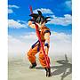 S.H.FIGUARTS SON GOKU & SON GOHAN -KID- & KINTOUN DRAGON BALL TAMASHII NATIONS