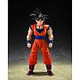 S.H.FIGUARTS SON GOKU 〈THE KIND-HEARTED SAIYAN〉DRAGON BALL Z TAMASHII NATIONS
