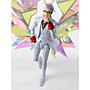 S.H.FIGUARTS X TO BE HERO X TAMASHII NATIONS