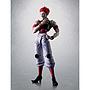 S.H.FIGUARTS HUNTER×HUNTER HYSKOA TAMASHII NATIONS