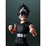 S.H.Figuarts HIEI TAMASHII NATIONS