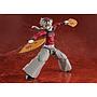 S.H.FIGUARTS DOMA TAMASHII NATIONS