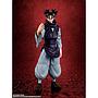 S.H.FIGUARTS CHOSO TAMASHII NATIONS