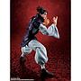 S.H.FIGUARTS CHOSO TAMASHII NATIONS