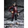 S.H.FIGUARTS HASHIRAMA SENJU -REANIMATION- TAMASHII NATIONS