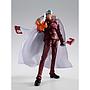 S.H.FIGUARTS SAKAZUKI(AKAINU) -MARINEFORD- TAMASHII NATIONS