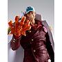 S.H.FIGUARTS SAKAZUKI(AKAINU) -MARINEFORD- TAMASHII NATIONS