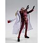 S.H.FIGUARTS SAKAZUKI(AKAINU) -MARINEFORD- TAMASHII NATIONS