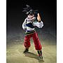 S.H.FIGUARTS SON GOKU <RETURN TO EARTH>  TAMASHII NATIONS